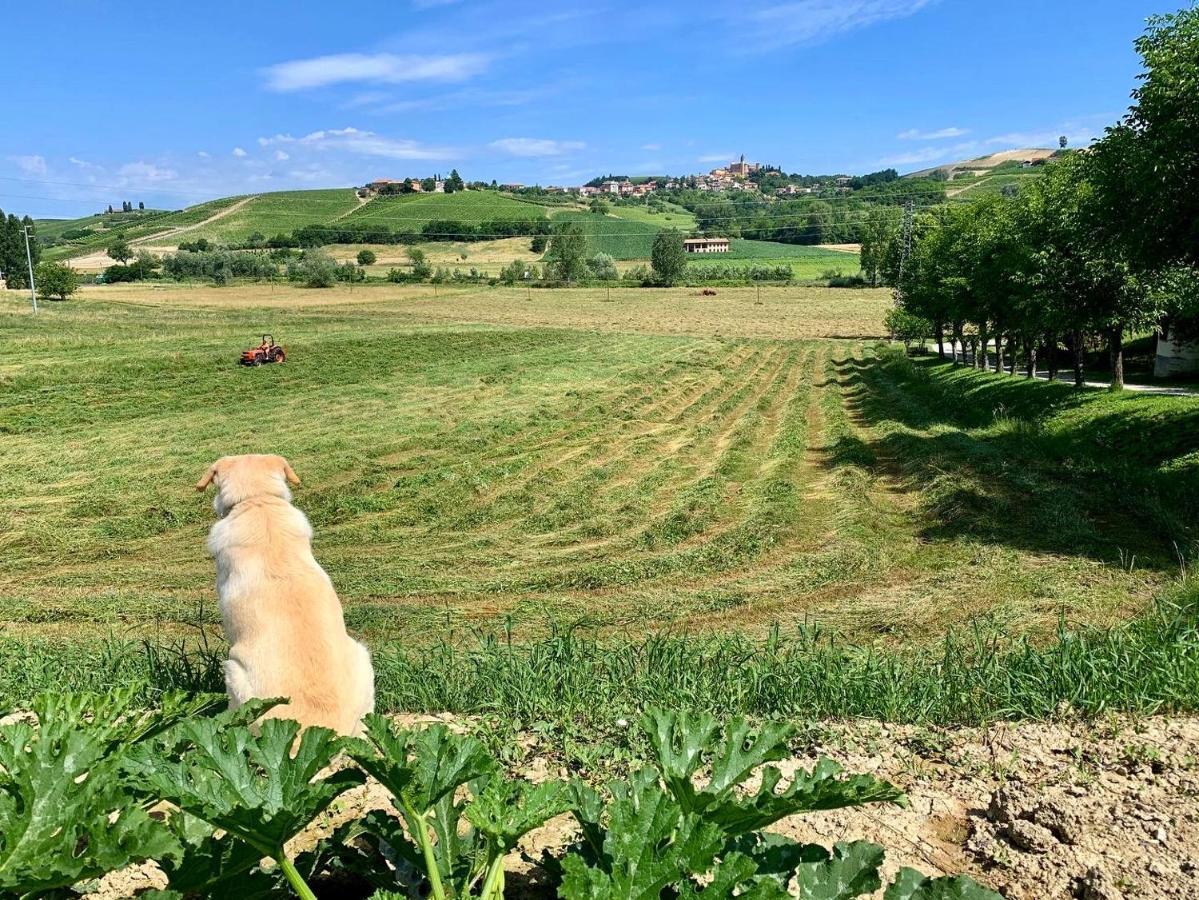 Agriturismo La Mussia Castelnuovo  Exterior foto